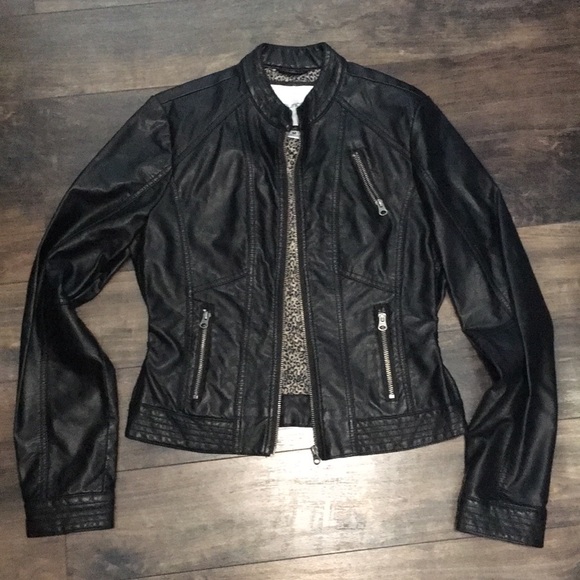 Maurices Jackets & Blazers - Maurices Moto Jacket